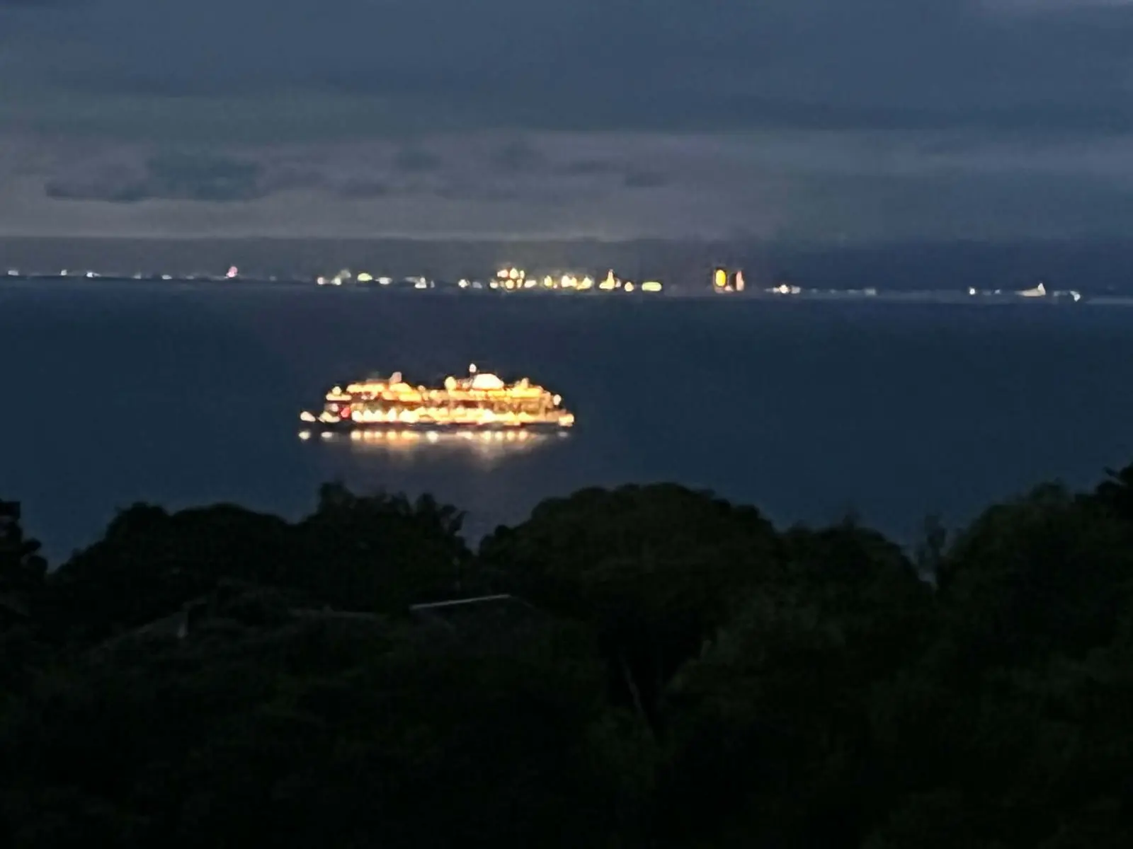 駿河湾を航行する灯りをまとった船と対岸の夜景